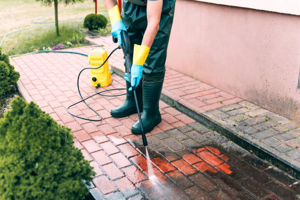 Best Best Pressure Washing Companies  in Waverly, IA