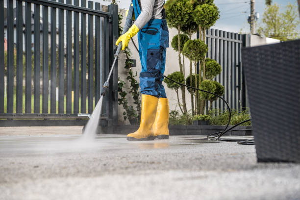 Best Pressure Washing Driveway  in Waverly, IA