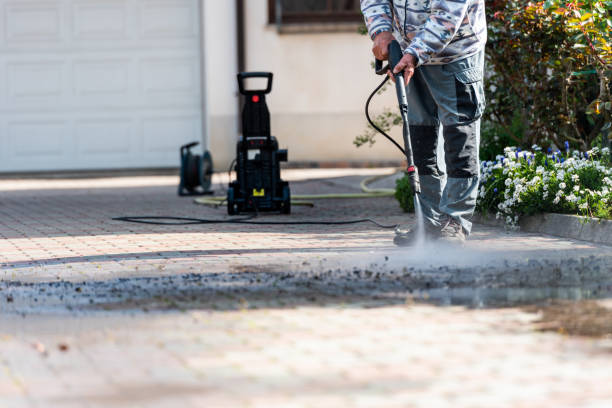 Best Roof Pressure Washing  in Waverly, IA