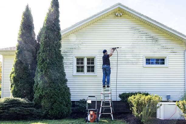 Best Deck Cleaning Services  in Waverly, IA