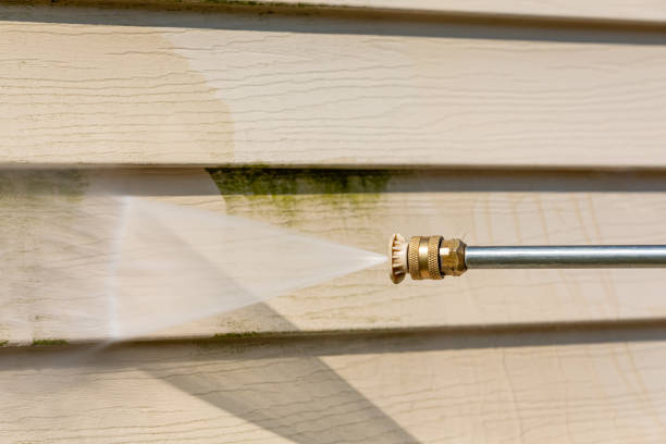 Best Pressure Washing Near Me  in Waverly, IA